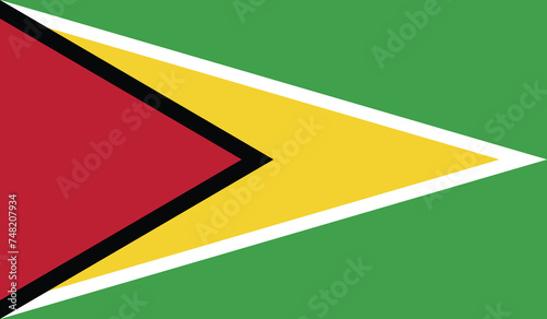 National Flag of Guyana Vector, Guyana Flag background, Guyana sign photo