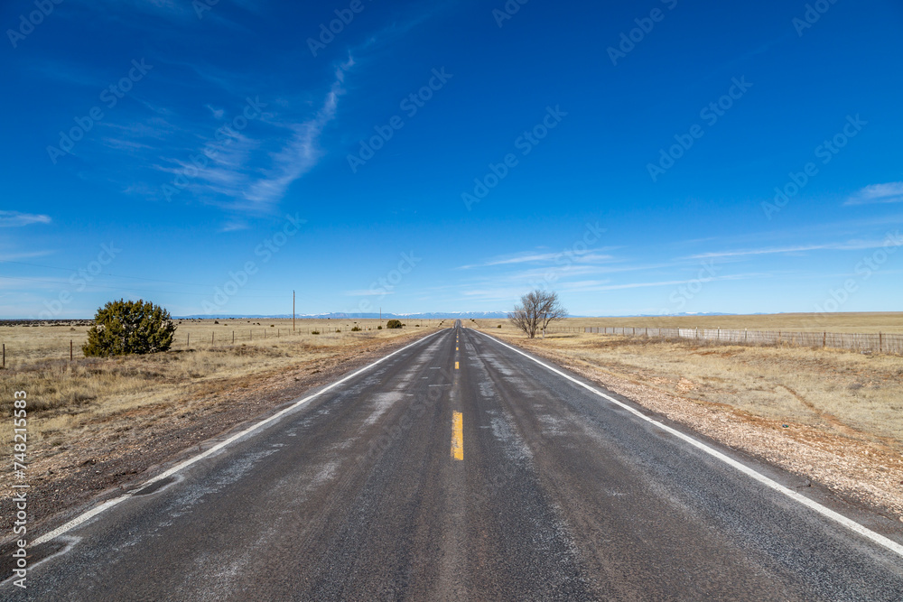A long straight road through the New Mexico countryside, with a blue sky overhead