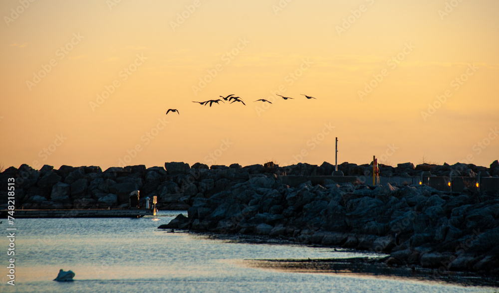 Obraz premium Canadian geese flying over a pier at sunrise
