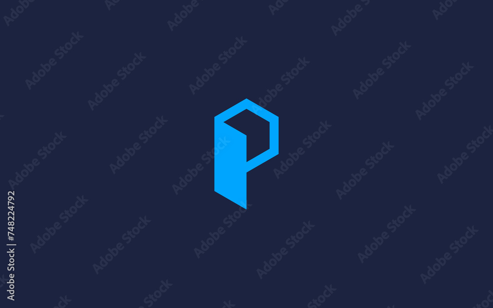 letter p with hexagon logo icon design vector design template inspiration letter p with hexagon logo icon design vector design template inspiration