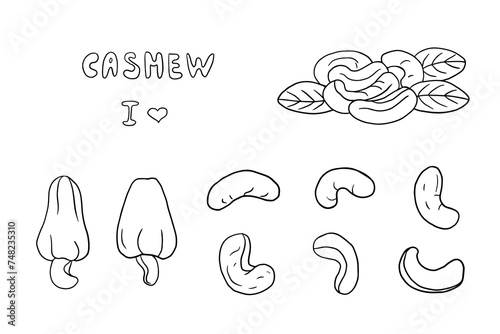 Big set of cashew nuts in doodle style. Nuts. Healthy food. Vector illustration EPS10. Hand drawn. Isolated on white background