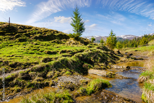 creek flows through the valley of carpathian mountains. shallow water stream among hills. borzhava range in the distance. rural landscape of ukraine on a sunny day in spring