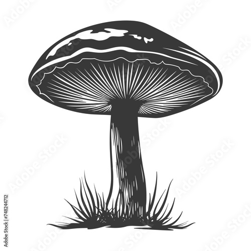 Silhouette mushroom black color only