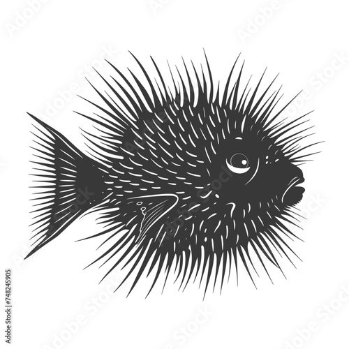 Silhouette pufferfish animal black color only full body