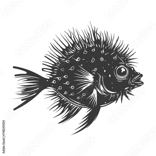 Silhouette pufferfish animal black color only full body photo