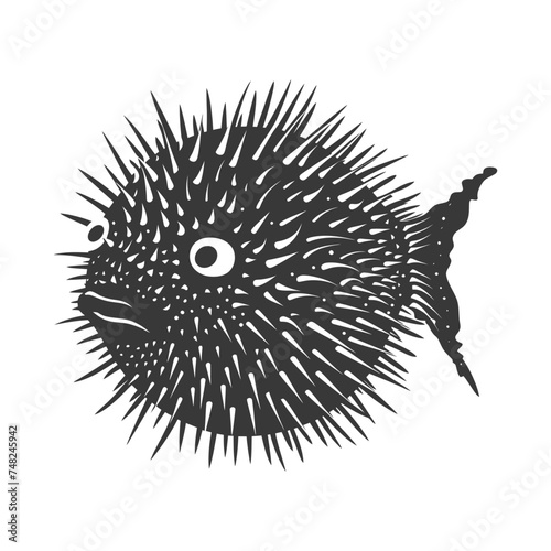 Silhouette pufferfish animal black color only full body