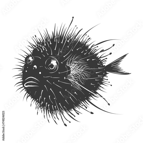 Silhouette pufferfish animal blow black color only full body