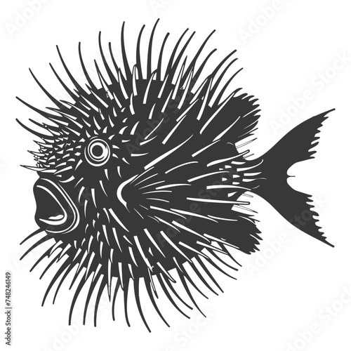 Silhouette pufferfish animal blow black color only full body