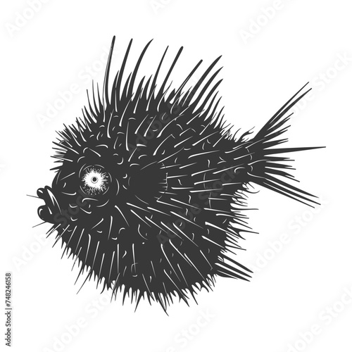 Silhouette pufferfish animal blow black color only full body