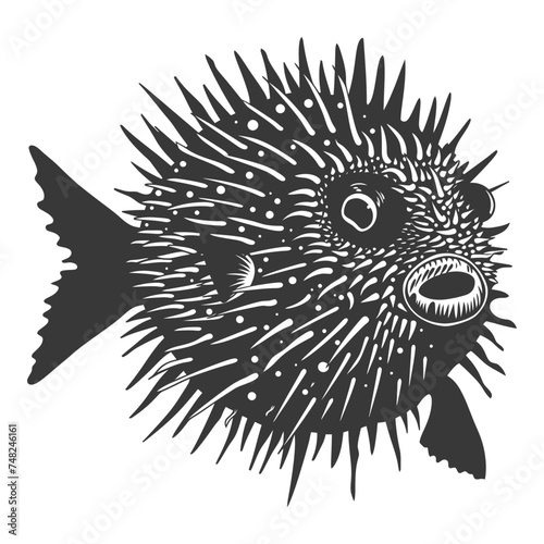 Silhouette pufferfish animal blow black color only full body
