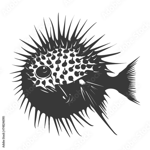 Silhouette pufferfish animal blow black color only full body