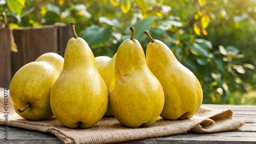 Ripe yellow pears on burlap on wooden table, against blurred background of summer or autumn garden. Fresh natural organic fruits. Healthy vitamin food. Harvesting. Copy space.