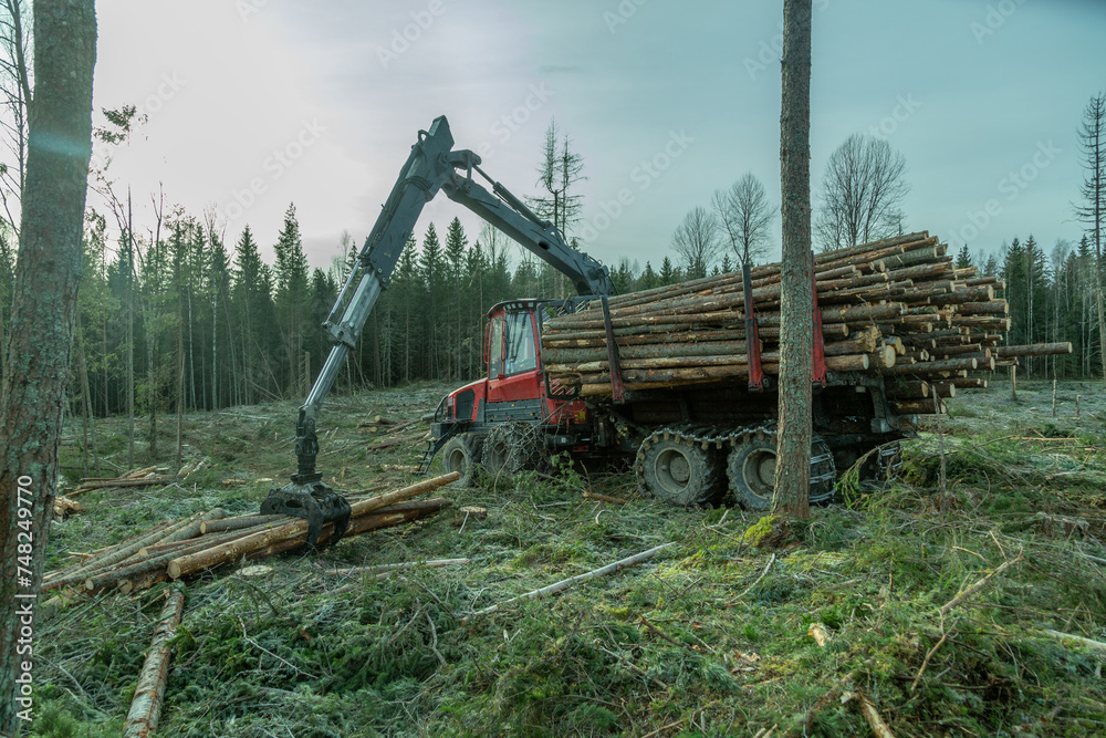 Logging equipment,forwarder loading loogs of pulpwood. Logging equipment,forwarder loading loogs of pulpwood.