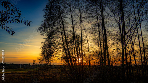 Autumn sunset seen through trees in Podlasie.