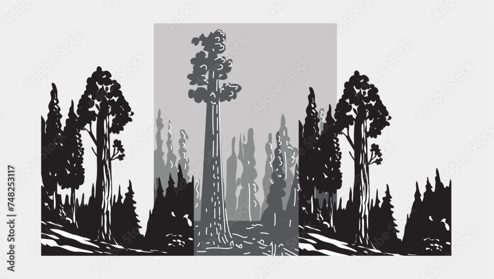 Embark on an adventure through a spectacular sequoia forest with this captivating vector. Ideal for adding grandeur to your designs. - obrazy, fototapety, plakaty 
