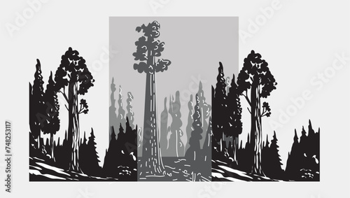 Embark on an adventure through a spectacular sequoia forest with this captivating vector. Ideal for adding grandeur to your designs.