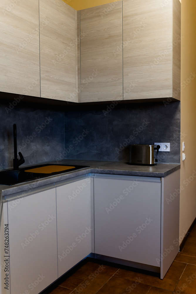Fototapeta premium modern kitchen interior