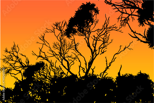 ramas, arboles, siluetas, vegetacion, roble, bosque, paisaje, vector, hojas, abstracto, sauce, tronco, malesa, pegatina