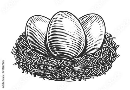 Chicken Eggs in nest. Organic farm products. Hand drawn sketch vintage vector illustration