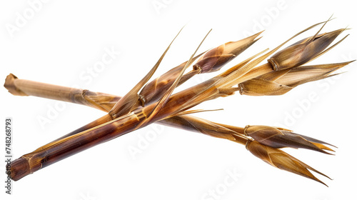 dried flowers of rice on white background.