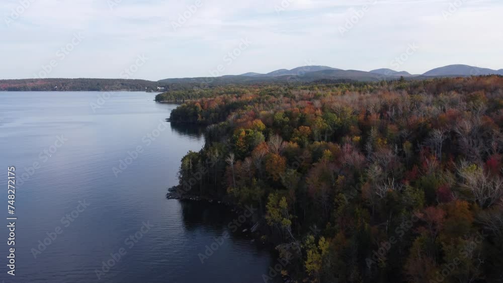 New England Foliage New England Foliage
