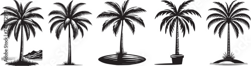 palm trees  black and white vector