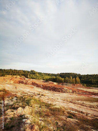 landscape with trees
