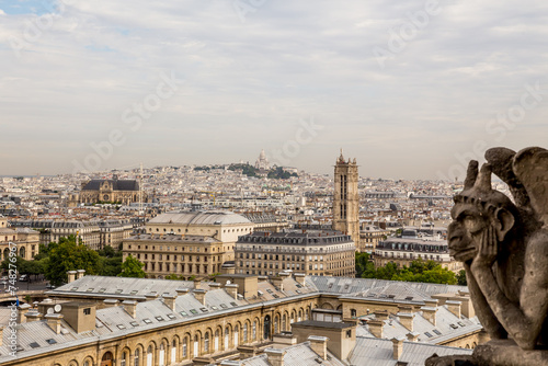 Panorama of Paris from Notre Dame Cathedral © Wieslaw