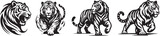 aggressive tigers, powerful and strong wild cats in black vector