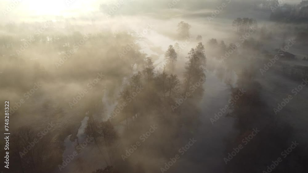 Foggy morning by the river Foggy morning by the river