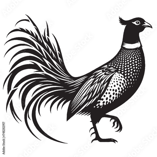 Vintage Retro Styled Vector Pheasant Silhouette Black and White - illustration