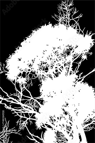 ramas, arboles, siluetas, vegetacion, roble, bosque, paisaje, vector, hojas, abstracto, sauce, tronco, malesa, pegatina