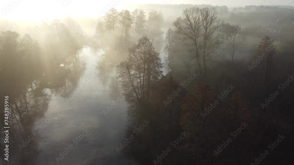 Foggy morning by the river Foggy morning by the river