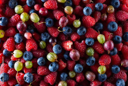 Fototapeta Naklejka Na Ścianę i Meble -  texture of fresh berries variety of fruit set and berries raspberries, currants, black berries blueberries mulberries and blackberries