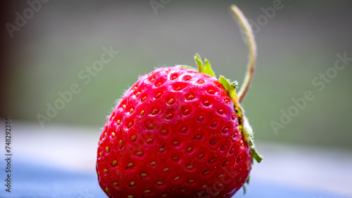 Close up of fresh strawberry showing seeds achenes. Details of a fresh ripe red strawberry. photo