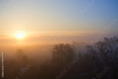 Dawn and fog over the forest in winter