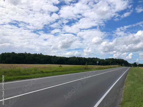Field, forest, road, in summer