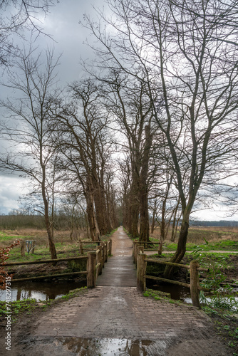 Walk way on former route of tramway outside of Goirle in The Netherlands. photo