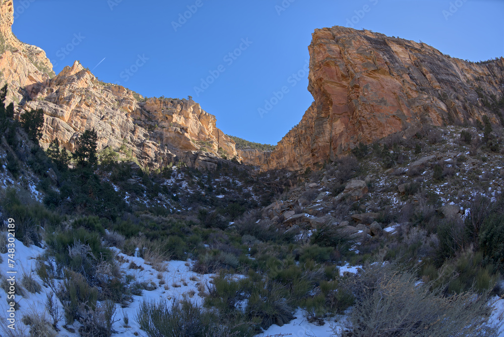 Cliffs of Waldron Canyon at Grand Canyon AZ
