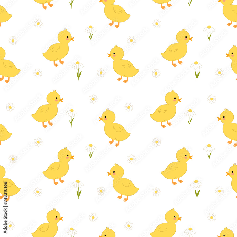 Seamless pattern with cute funny yellow ducklings and chamomile. Vector pattern with cartoon ducks and flowers on white background.