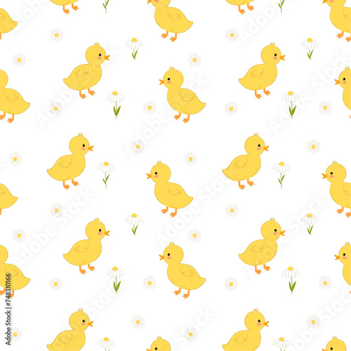 Seamless pattern with cute funny yellow ducklings and chamomile. Vector pattern with cartoon ducks and flowers on white background. © Nadiia