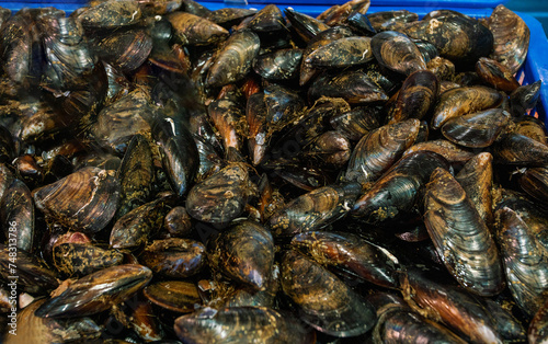 Fototapeta Naklejka Na Ścianę i Meble -  Oysters on covered market in Cannes