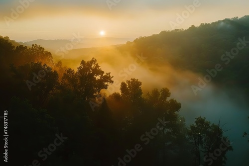 Serene sunrise peering through the dense forest Casting a golden glow over the tranquil woods Symbolizing peace and natural beauty