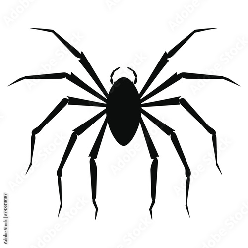 Spider black Silhouette vector.