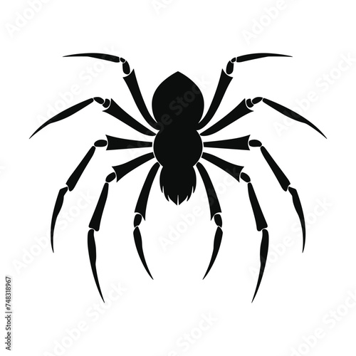 Spider black Silhouette vector.