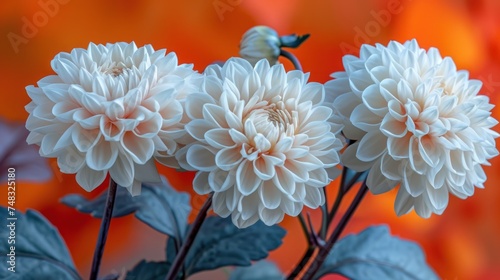 a group of white flowers sitting on top of a green leafy plant in front of a bright orange background. photo
