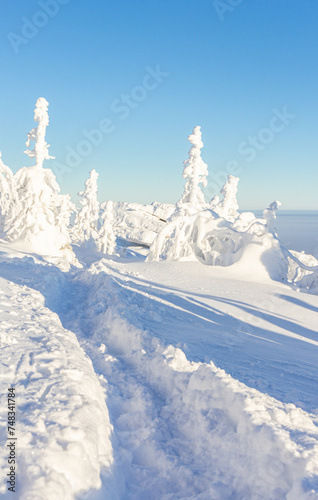A magical view from above of mountain to white fluffy snow covered spruce. Winter landscape with frosty fir trees and snowflakes, flat area with fog. Kolchim Memorial Stone. Ural, Russia, Europe.