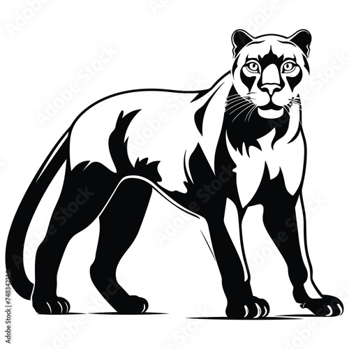 Cougar black Silhouette vector © gfx_shahed
