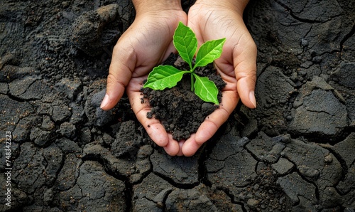 World day to combat desertification and drought concept