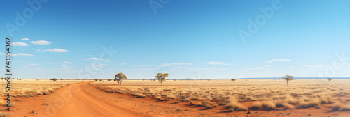 Expansive Australian Outback with Breathtaking Landscape and Endless Horizon